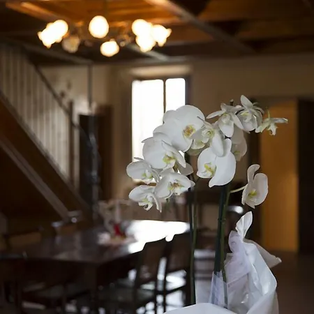 ベッド・アンド・ブレックファスト Borgo Acque Romane