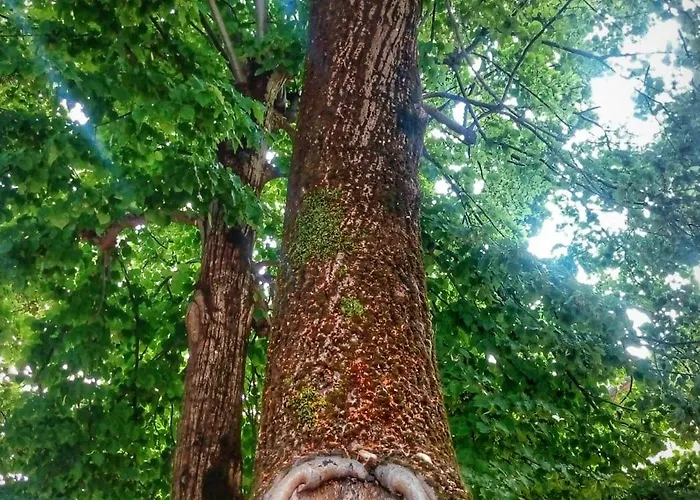 Borgo Acque Romane 3* Servigliano