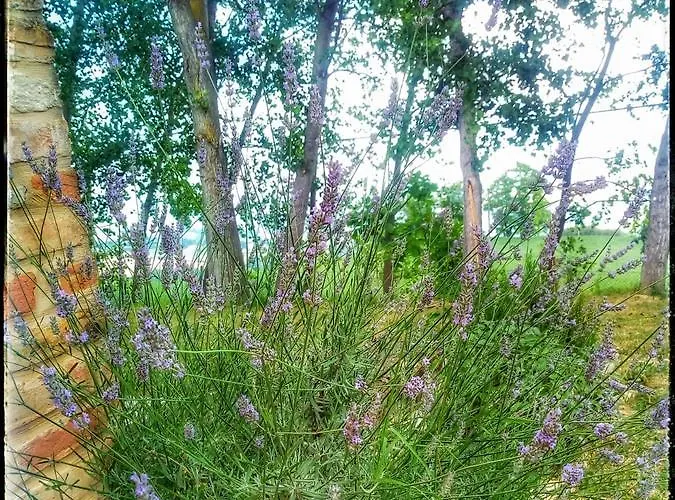 Bed and breakfast Borgo Acque Romane 3*